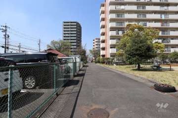 敷地西側の通路