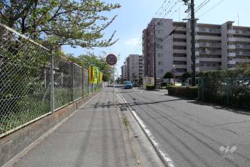 敷地東側の前面道路（北側から）