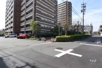 敷地南側と東側の前面道路（南東側から）