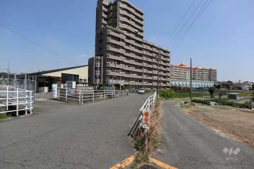 敷地南側の前面道路（西側から）