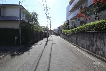 敷地東側の前面道路(北側から)