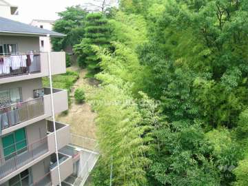 敷地の東側には待兼山があり、緑豊か。