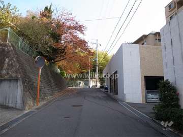 敷地の北側道路（西側から）　周辺は緑豊かで、閑静な住宅地です。