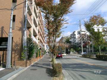 南側は街路樹のきれいなバス通り
