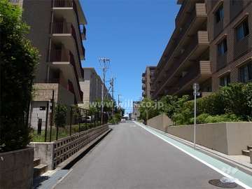敷地西側の前面道路。周辺は区画の整った閑静な住宅地です。