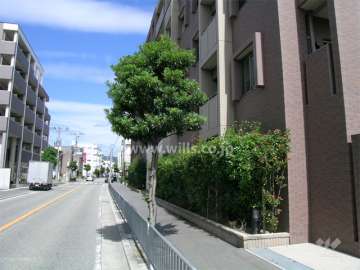 『ロマンチック街道』に続くバス通り