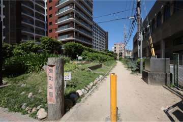 敷地に隣接して『栄町公園』があります。
