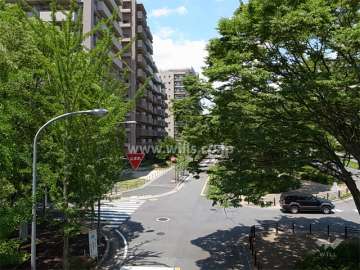 敷地東側は府道121号。街路樹のきれいな通りです。