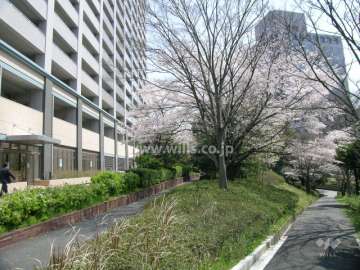 敷地の南側は緑地スペース