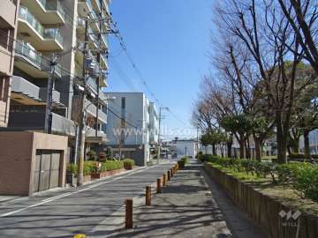 敷地南側の前面道路。道を挟んで南側には緑豊かな『南吹田公園』があります。