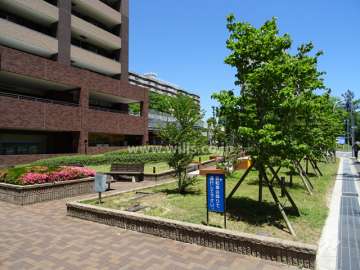 敷地前の緑地スペース