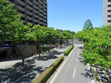 敷地東側の前面道路