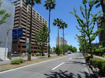 敷地南側の前面道路