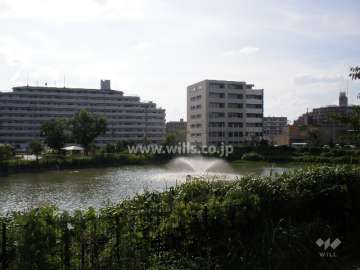 マンションの北西側に大きな池があります。
