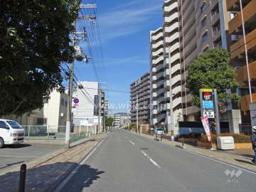 敷地西側の前面道路