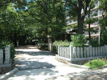敷地の南側は富松神社の境内です。