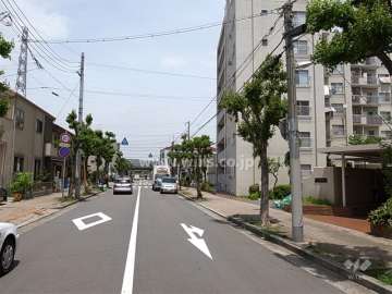敷地西側の前面道路は、街路樹がきれいです。