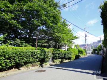 敷地東側の前面道路