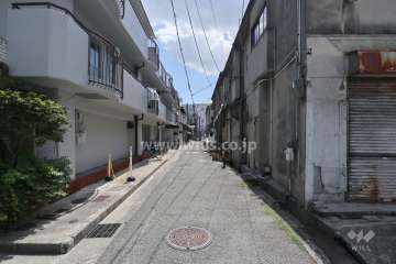敷地西側の前面道路(北側から)