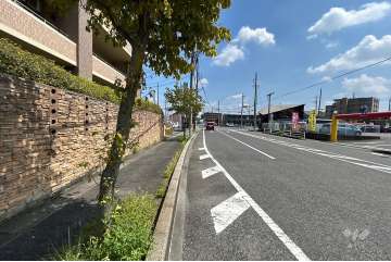 敷地南側の前面道路（西側から）