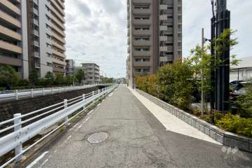 敷地東側の前面道路（北側から）