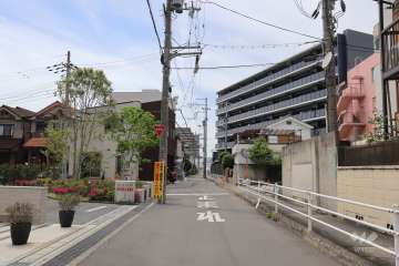 敷地北側の前面道路