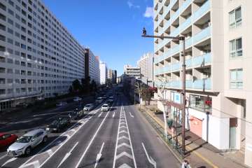敷地西側の前面道路(南側から)