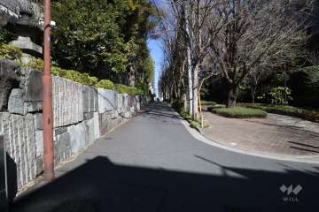 敷地東側の前面道路(南側から)