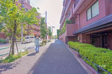 敷地東側の前面道路（北側から）