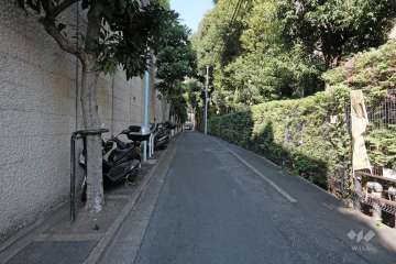 敷地西側の前面道路（南側から）