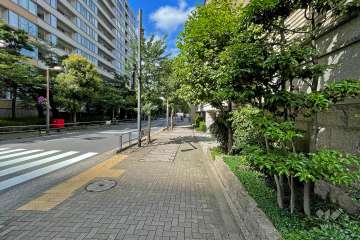 敷地北西側前面道路（南西側から）