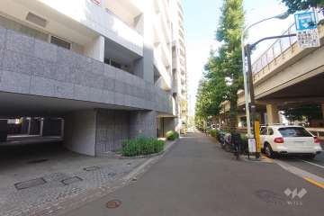 敷地南側の前面道路（西側から）