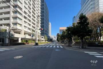 敷地の南側の前面道路(西側から)