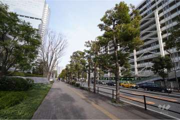 敷地南側の前面道路