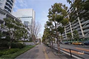 敷地南側の前面道路