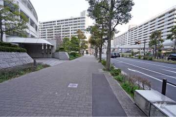 敷地南西側の前面道路