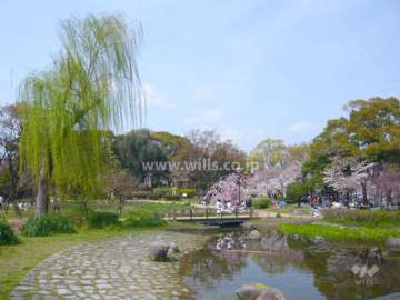 尾浜公園に隣接しています。