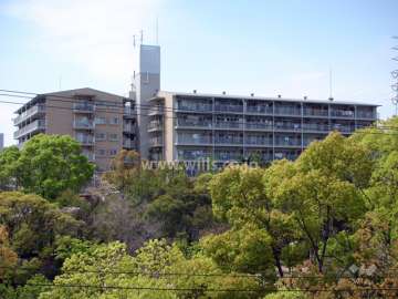 敷地の東側は緑豊かな『尾浜公園』です。
