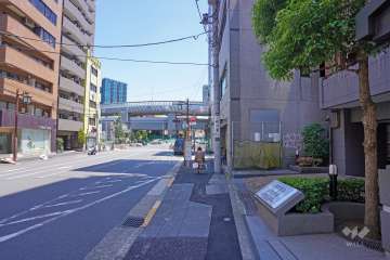 敷地北側の前面道路（西側から）