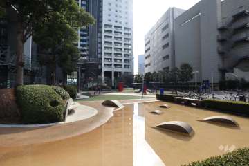 敷地にある広場