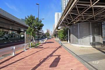 敷地西側の前面道路（南側から）