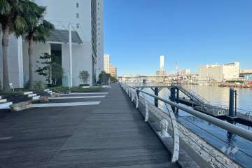 敷地東側の前面道路　