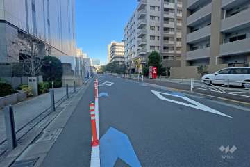 敷地の西側前面道路（南側から）