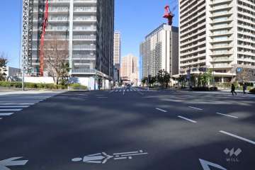 敷地西側の前面道路(南側から)