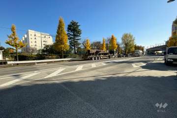 敷地東側の前面道路（北側から）