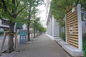 敷地南側の前面道路（東側から）