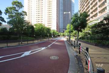 敷地東側の前面道路　