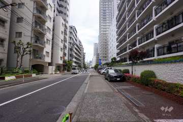 敷地東側の前面道路