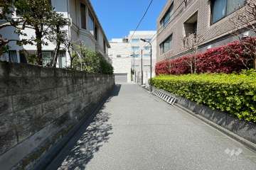 敷地の西側前面道路（南側から）