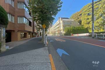 敷地北西側の前面道路（北東側から）